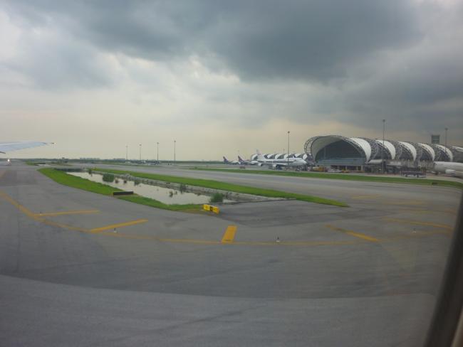 P1000675.jpg